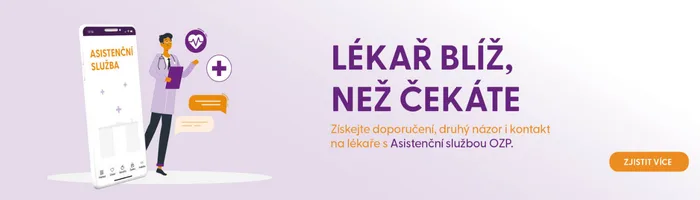 Asistenční služba